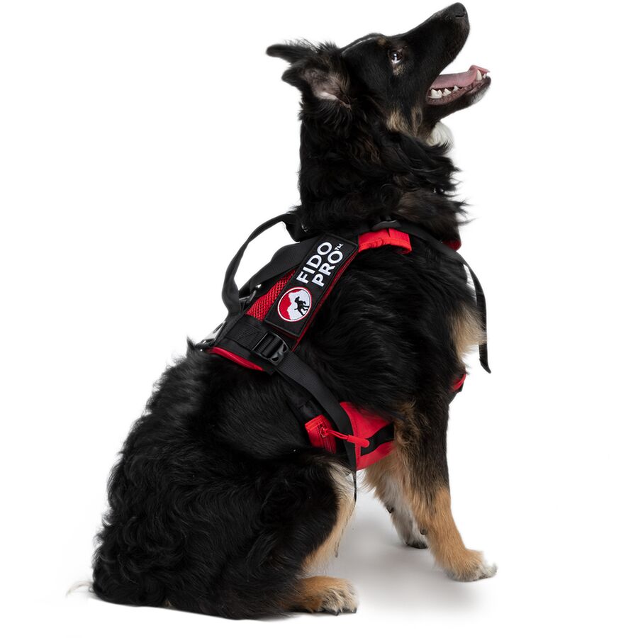 () եɥץ ѥ ϡͥ + ǥץ֥ ޡ󥷡 ɥå 쥹塼  Fido Pro Panza H...