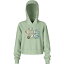 (取寄) ノースフェイス ガールズ キャンプ フリース プルオーバー ブーディ - ガールズ The North Face girls Camp Fleece Pullover Hoodie - Girls' Misty Sage/Smokey The Bear Graphic