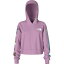 (取寄) ノースフェイス ガールズ キャンプ フリース プルオーバー ブーディ - ガールズ The North Face girls Camp Fleece Pullover Hoodie - Girls' Mineral Purple/Nature Is Magic Graphic