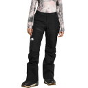 () m[XtFCX fB[X h[XgCN Gtx CT[ebh pc - EBY The North Face women Dawnstrike GTX Insulated Pant - Women's TNF Black