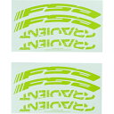 () FSA OWGg 29C` fJ[ FSA Gradient 29in Decal Green