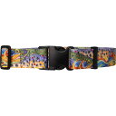 (取寄) レディース ウェーディング ベルト - ウィメンズ Fishe women Wading Belt - Women's Unbound Brown