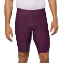 (取寄) パールイズミ メンズ エクスペディション ショート - メンズ PEARL iZUMi men Expedition Short - Men's Dark Violet