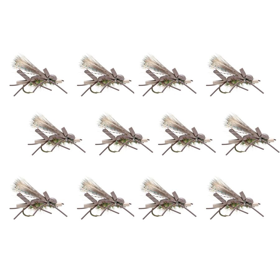() ץ ANT 12-ѥå Umpqua Amy's Ant 12-Pack Olive