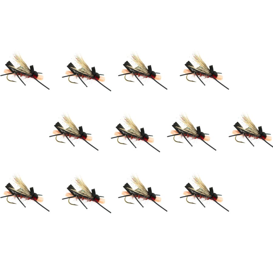 () ץ ANT 12-ѥå Umpqua Amy's Ant 12-Pack Red