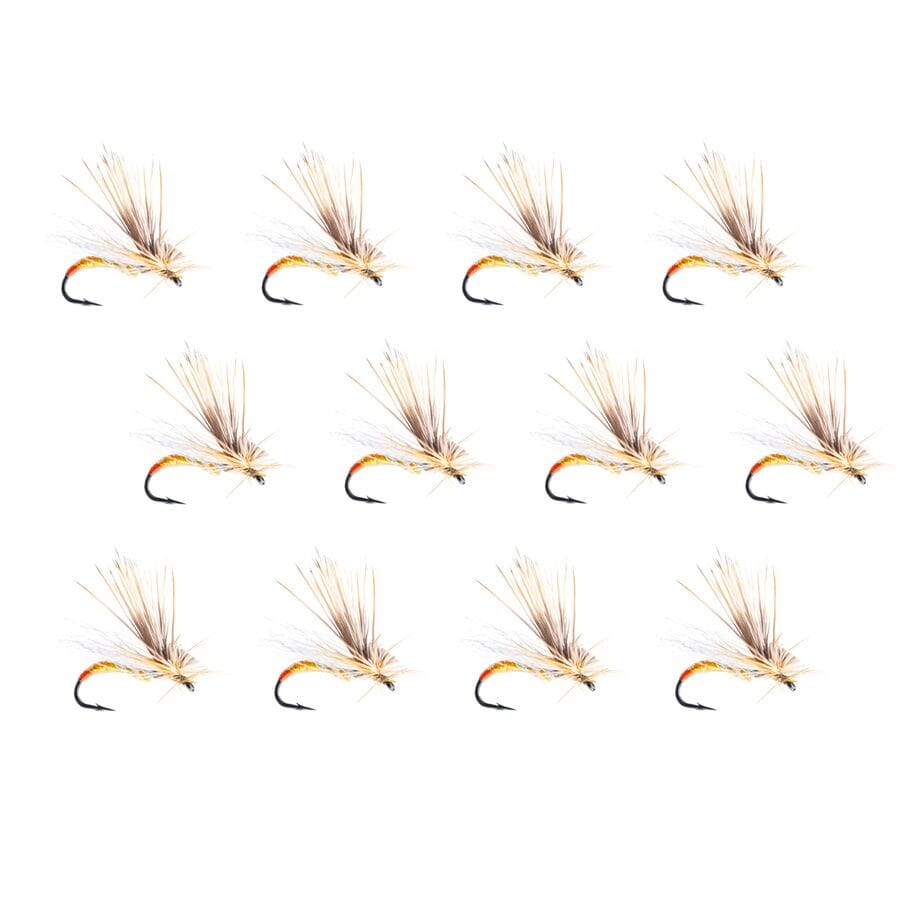 () ץ ߥå  12-ѥå Umpqua Missing Link 12-Pack Sally