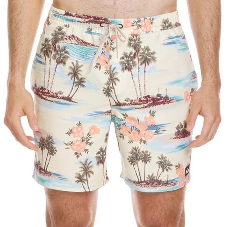 (取寄) クイックシルバー メンズ エブリデイ ミックス ボレー 17 Nb ショート - メンズ Quiksilver men Everyday Mix Volley 17 NB Short - Men's Silver Birch