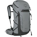 (取寄) オスプレー タロン プロ 30L バックパック Osprey Packs Talon Pro 30L Backpack Silver Lining(4)