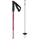 (取寄) サロモン キッズ ブリゲード JR スキー ポールズ - キッズ Salomon kids Brigade Jr Ski Poles - Kids' ...