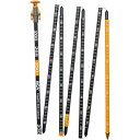 (取寄) バックカントリーアクセス ステルス 300 プローブ Backcountry Access Stealth 300 Probe Black