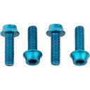 (取寄) ウルフトゥースコンポーネンツ ウォーター ボトル ケージ ボルツ Wolf Tooth Components Water Bottle Cage Bolts Teal
