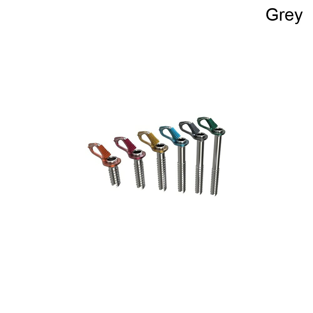 (取寄) ブルーアイス エアロ アイス スクリュー Blue Ice Aero Ice Screw Grey
