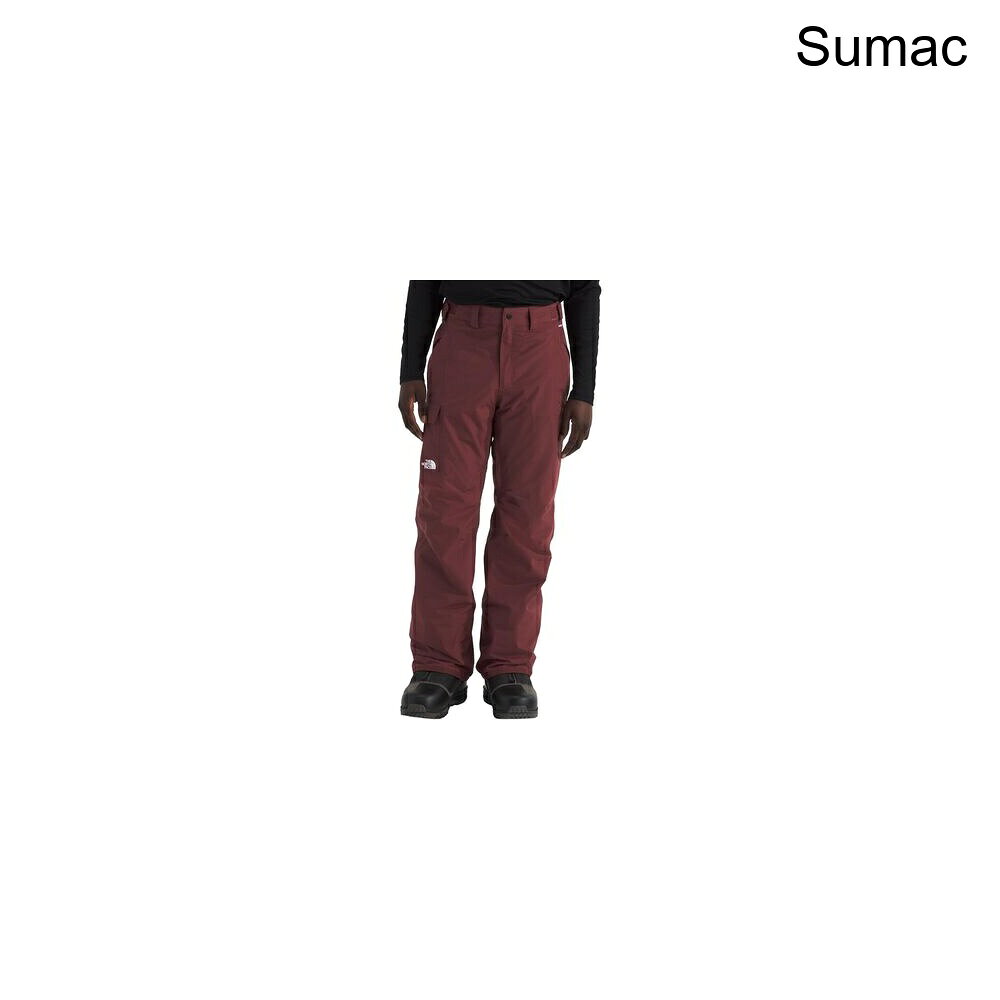 (取寄) ノースフェイス メンズ フリーダム パンツ - メンズ The North Face men Freedom Pant - Men's Sumac