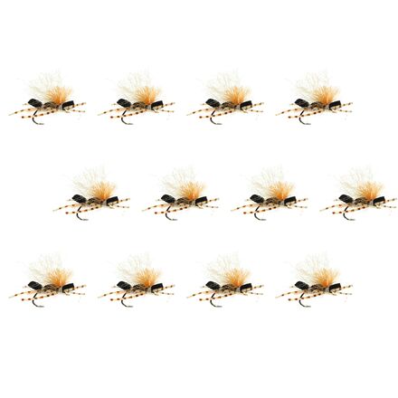 Rakuten - (取寄) アンプカ スタビー チュビー 12-パック Umpqua Stubby Chubby 12-Pack UV Tan
