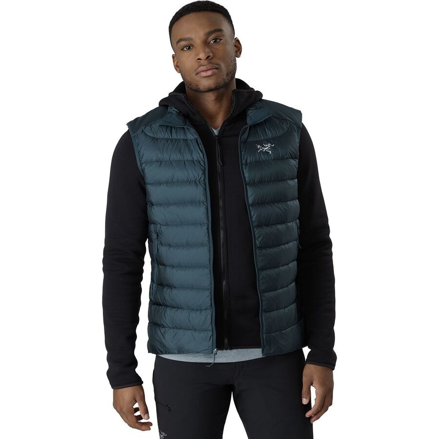 (取寄)アークテリクス LT ダウン ベスト - メンズ Arc'teryx Cerium LT Down Vest - Men's Labyrinth