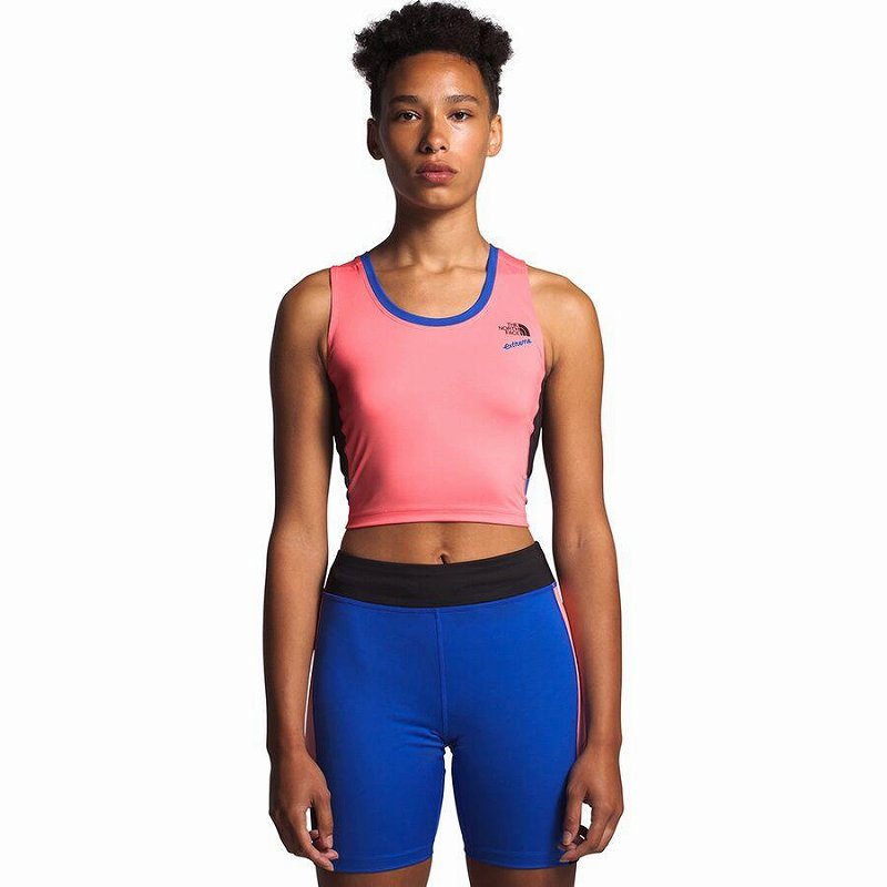 (取寄)ノースフェイス レディース 90エクストリーム ニット タンク トップ タンクトップ The North Face Women 90 Extreme Knit Tank Top Miami Pink Combo 送料無料