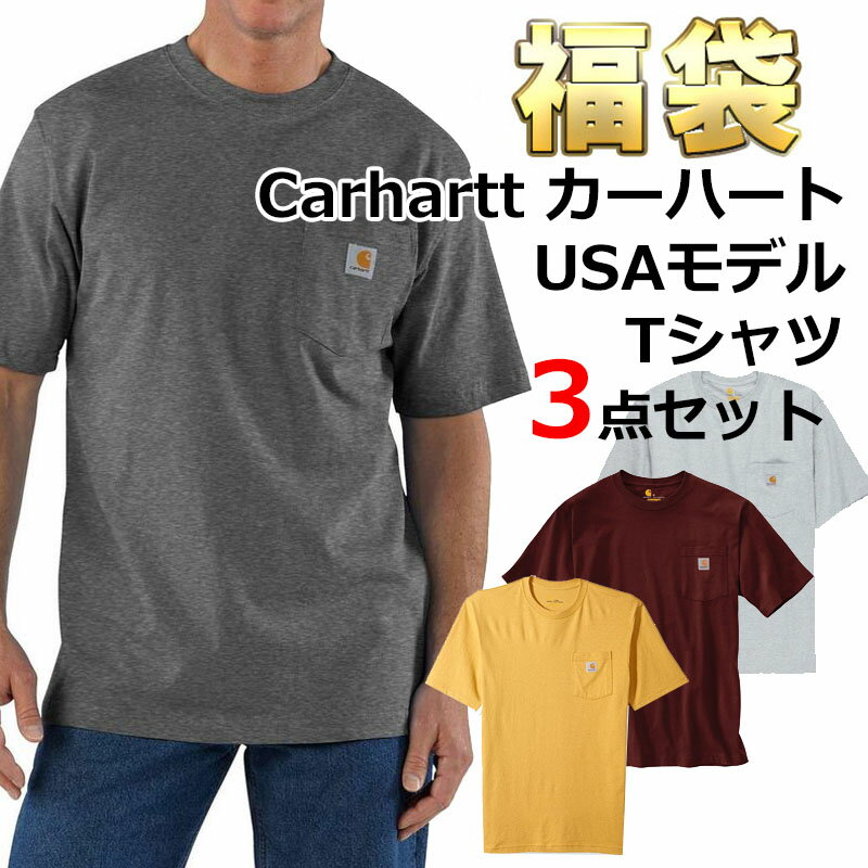 カーハート Tシャツ 福袋 メンズ 3枚セット 訳あり K87 USAモデル Carhartt 大きいサイズ 半袖Tシャツ ポケット付き 3点セット 送料無料 ブランド 福袋 アウトレット 訳あり あす楽対応まとめ買い お得 お楽しみ袋 秋 秋服 秋セット