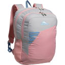 (取寄) ハイ シエラ オウトバースト 28 エル バックパック - シルバー-バブル ガム High Sierra Outburst 28 L Backpack - Silver-Bubble Gum Silver/Bubble Gum(4)