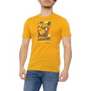 (取寄) スマートウール 150 ブラック ヒストリー マンス T-シャツ - Upf 20+, メリノ ウール, ショート スリーブ SmartWool 150 Black History Month T-Shirt - UPF 20+, Merino Wool, Short Sleeve Sunflower