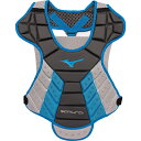 (取寄) ミズノ レディース サムライ ベースボール チェスト プロテクター Mizuno women Samurai Baseball Chest Prote...