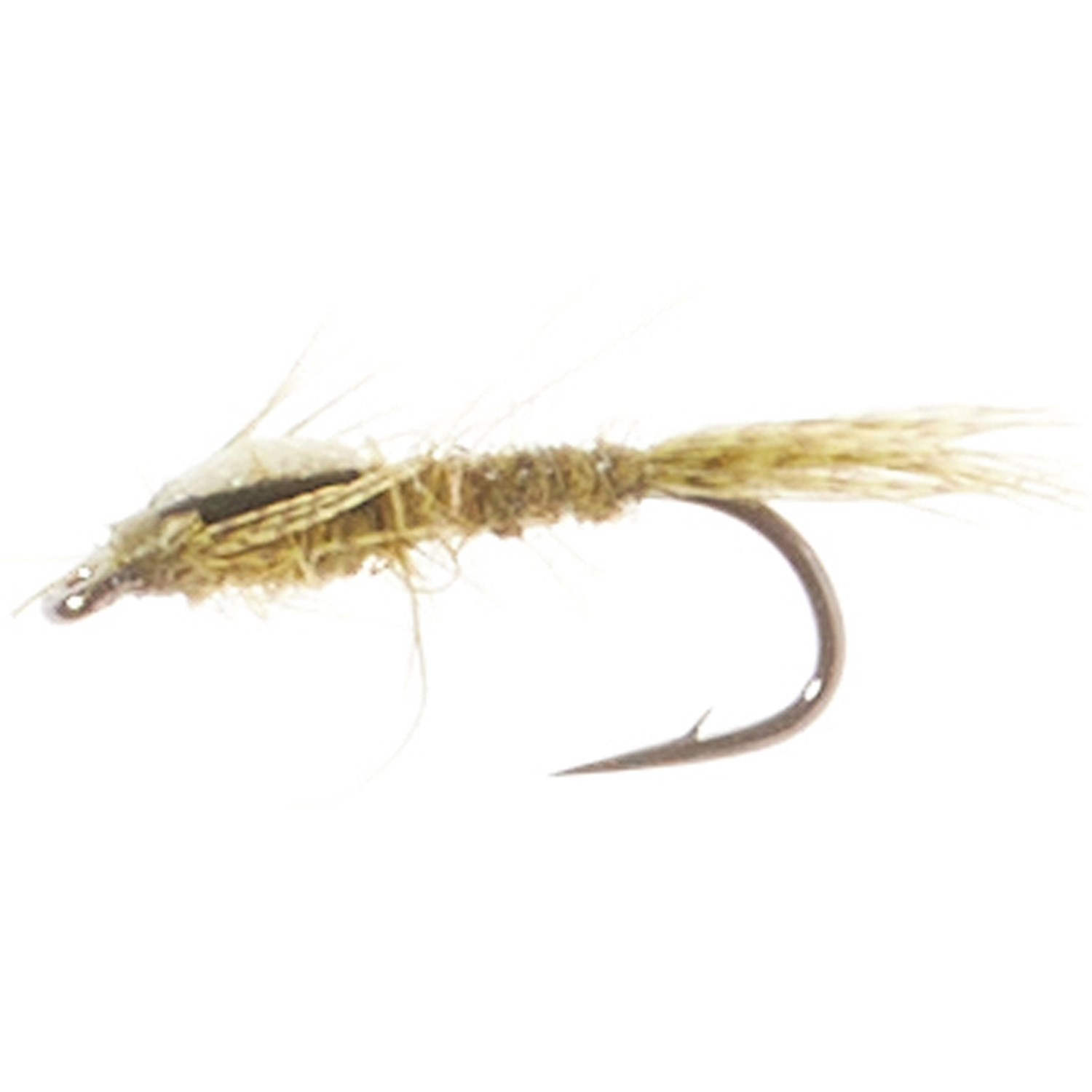 (取寄) モンタナフライカンパニー ニンフ フライ - ダズン Montana Fly Company Split-Case Nymph Fly ..