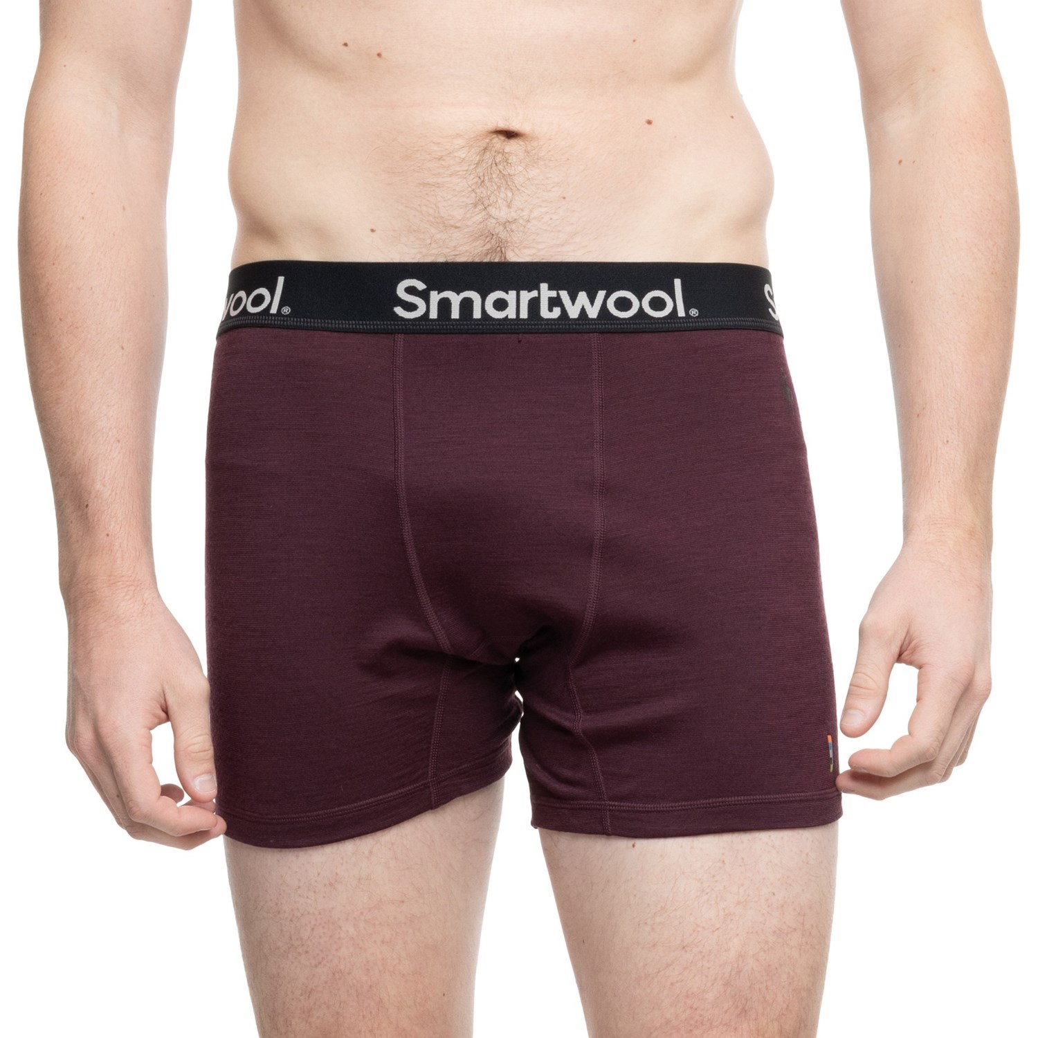 (取寄) スマートウール アクティブ ボクサー ブリーフ - メリノ ウール SmartWool Active Boxer Briefs..