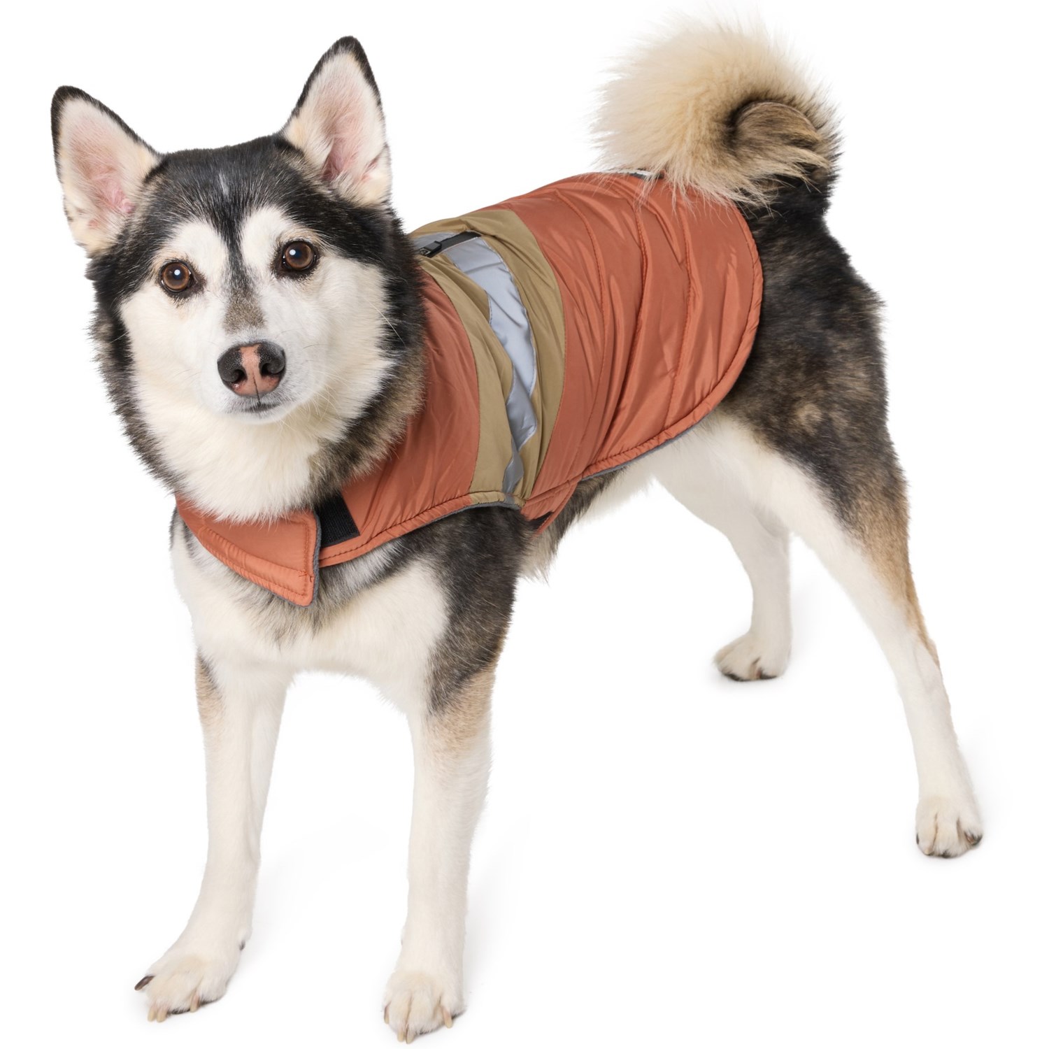 (取寄) エディーバウアー ドッグ ベスト Eddie Bauer Riverbend Dog Vest Rust