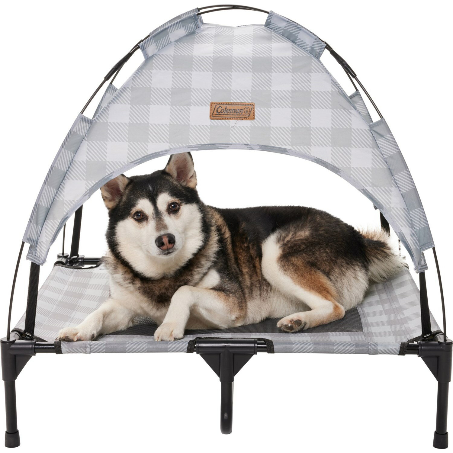 (取寄) コールマン ラージ フォールディング ペット コット ウィズ キャノピー - Coleman Large Folding Pet Cot with Canopy - 30x24x7” Gray 1