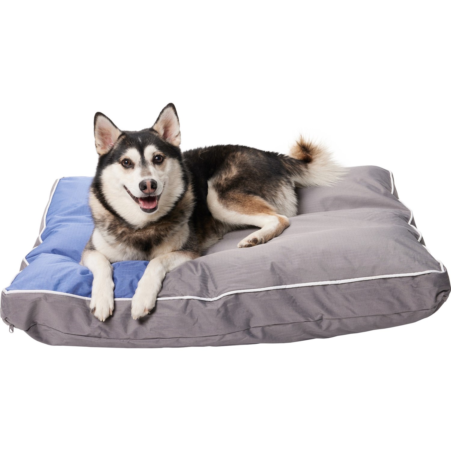 取寄 サータ パーフェクト スリーパー インドア-アウトドア ラージ ドッグ ベッド - 27x36” Serta Perfect Sleeper Indoor-Outdoor Large Dog Bed - 27x36” Blue/Gray