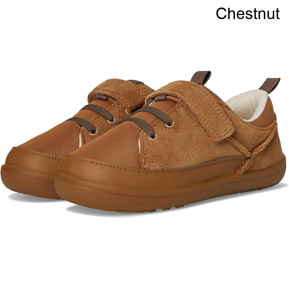 楽天市場】ugg トドラーの通販