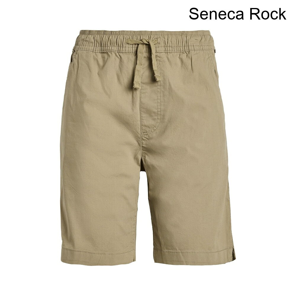 (取寄) クイックシルバー タクサーショーツ（ビッグキッド） quiksilver Taxer Sho...