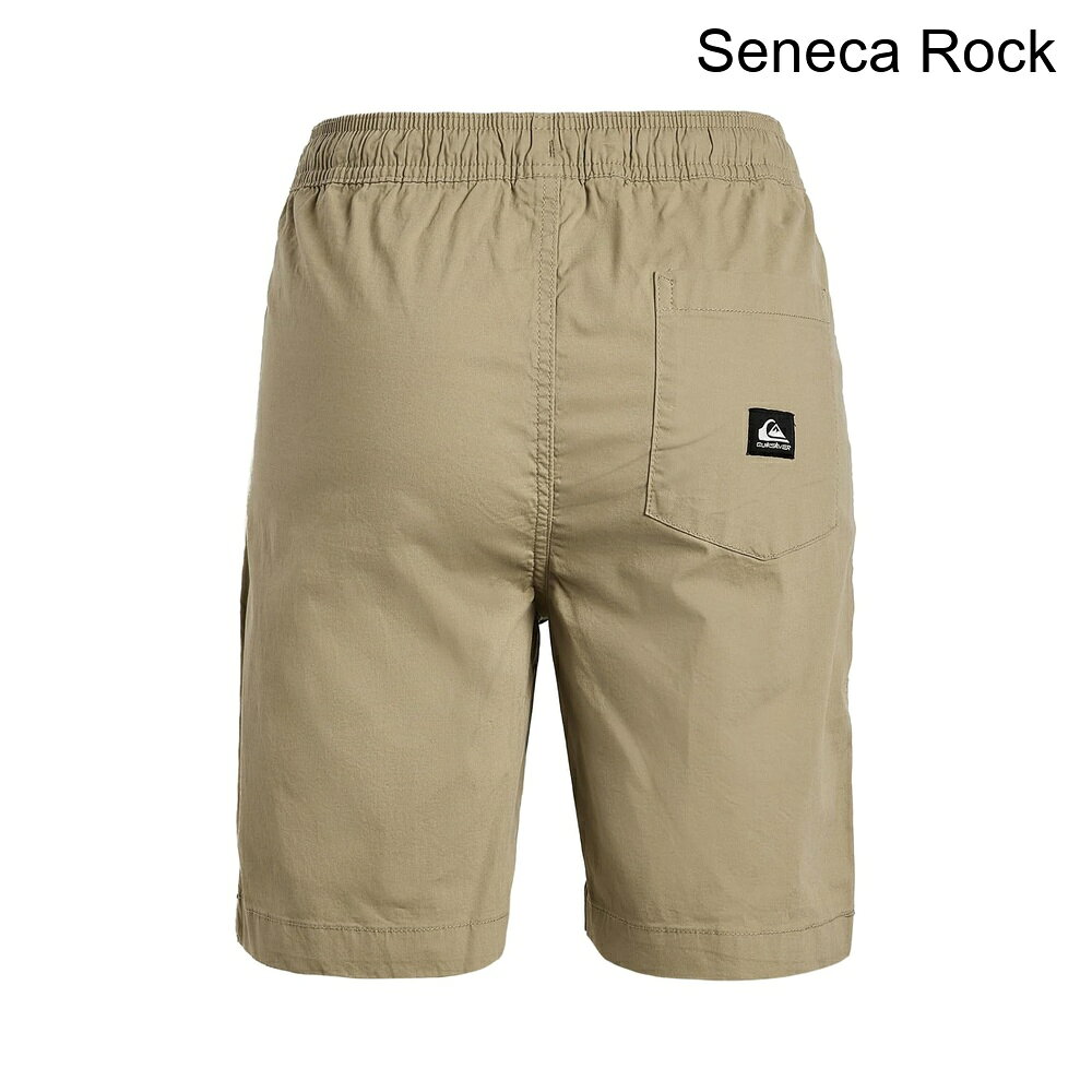 (取寄) クイックシルバー タクサーショーツ（ビッグキッド） quiksilver Taxer Sho...