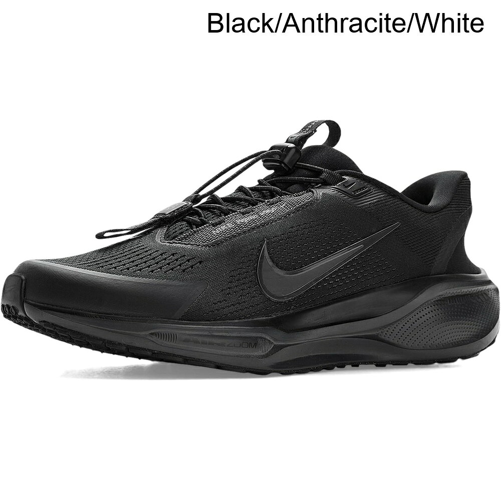 (取寄) ナイキ ペガサスイージーオン nike Pegasus Easy On