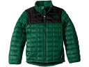 (取寄)ノースフェイス キッズ サーモボール エコ ジャケット (リトル キッズ/ビッグ キッズ) The North Face Kid's ThermoBall Eco Jacket (Little Kids/Big Kids) Night Green