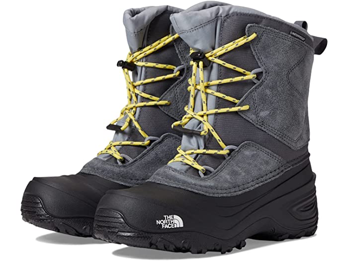 () Ρե å ڥ󥰥 V ץ롼 The North Face Kids Alpenglow V W...
