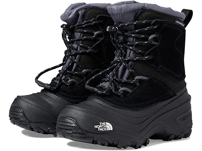 () Ρե å ڥ󥰥 V ץ롼 The North Face Kids Alpenglow V W...