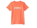 (取寄) クイック シルバー キッズ ボーイズ グラジエント ラインズ (ビッグ キッズ) Quiksilver Kids boys Quiksilver Kids Gradient Lines (Big Kids) Red Orange Heather