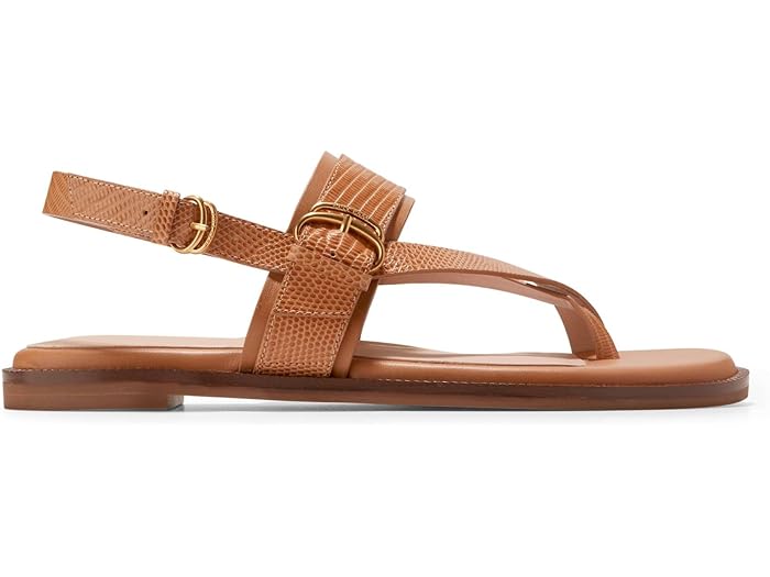 (取寄) コールハーン レディース アニカ ラックス バックル サンダル Cole Haan women Cole Haan Anica Lux Buckle Sandals Pecan Leather