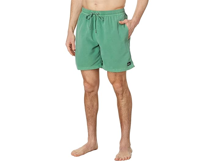 (取寄) クイックシルバー メンズ 17 エブリデイ サーフウォッシュ ボレー ショーツ Quiksilver men Quiksilver 17" Everyday Surfwash Volley Shorts Frosty Spruce