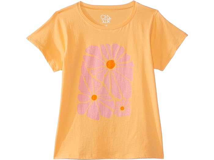 ()  å 륺 ȥ ե Ⱦµ T Chaser Kids girls Chaser Kids Retro Flowers Short Sleeve Tee (Toddler/Little Kids) Creamsicle