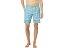 (取寄) ヴィスラ メンズ ブラーリー ホライズンズ 18.5 ボードショーツ VISSLA men VISSLA Blurry Horizons 18.5" Boardshorts Sea Green