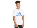 () AfB_X LbY {[CY yu J S Ss Lbh) adidas Kids boys adidas Kids Pebble Camo Logo SS Tee(Big Kid) White W/Blue