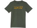 () [oCX LbY {[CY O X[u OtBbN T-Vc (rbO LbY) Levi's Kids boys Levi's Kids Long Sleeve Graphic T-Shirt (Big Kids) Thyme Heather
