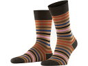 () t@P Y eBebh XgCv \bNX Falke men Falke Tinted Stripe Socks Canvas