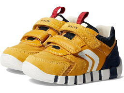 (取寄) ジェオックス キッズ メンズ ユピドー ボーイ 8 Geox Kids men Geox Kids Iupidoo Boy 8 Ochre/Navy