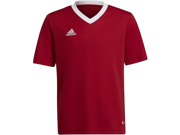 () ǥ å å ȥ顼22 㡼 (ȥ å/ӥå å) adidas Kids kids En...