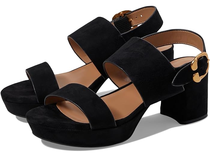 () 륺 ǥ  Aerosoles women Camera Black Suede