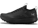 (取寄) アークテリクス レディース サイラン Gtx Arc'teryx women Sylan GTX Black/Black 1