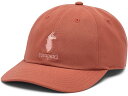 (取寄) コトパクシ ダッド ハット Cotopaxi Dad Hat Faded Brick(4)