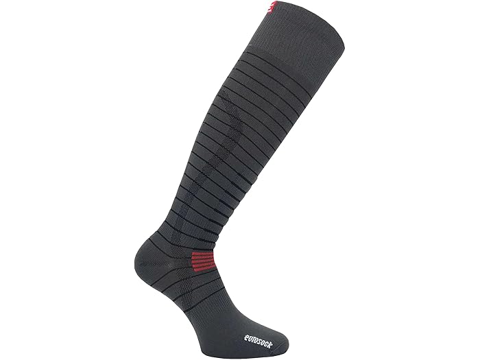 楽天ジェットラグ楽天市場店（取寄） ユーロソックス シルバー スキー ライト 2-パック Eurosock Eurosock Silver Ski Light 2-Pack Charcoal